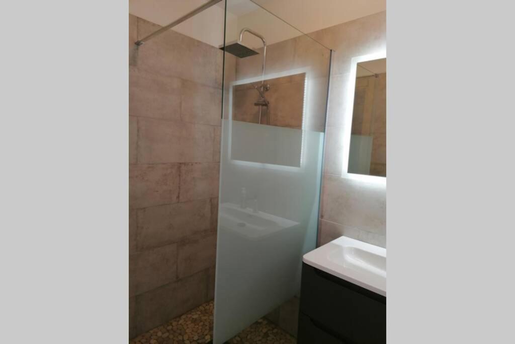 Appartement les pieds dans l'eau 300 m plage - 2 piscines Linguizzetta Extérieur photo