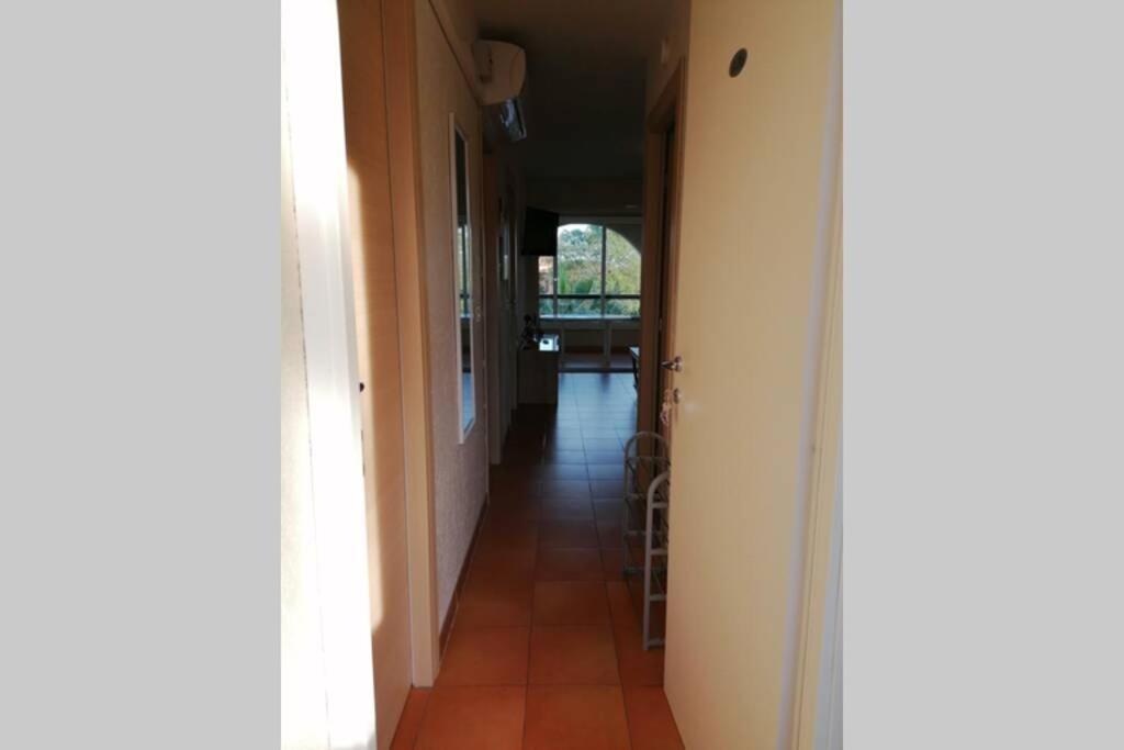 Appartement les pieds dans l'eau 300 m plage - 2 piscines Linguizzetta Extérieur photo